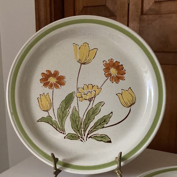 Vintage Country Casual “Sunnyvale” Dinner Plates, Set of 2 - Picture 2 of 10